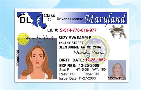 como hacer una cita en mva maryland|Maryland Drivers License